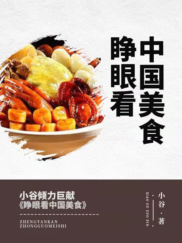 睁眼看中国美食小说最新章节